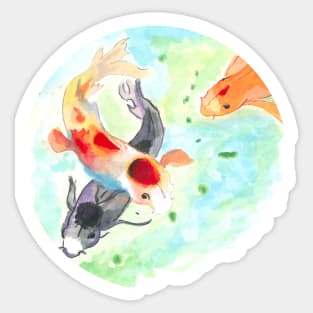 Koi fish River Sticker